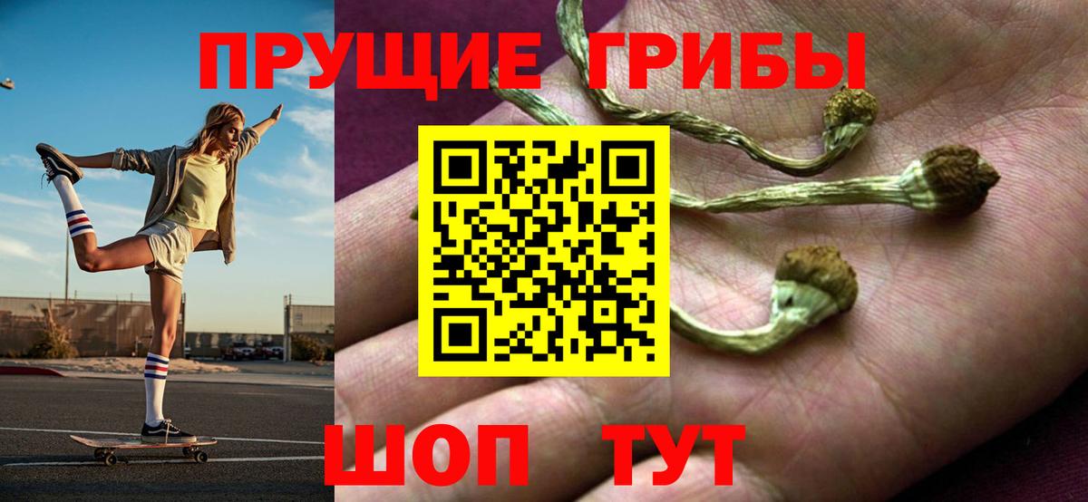 Псилоцибиновые грибы мицелий Батайск